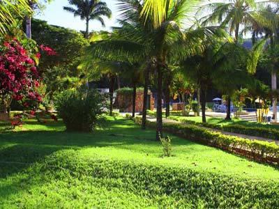 Bougainville Thermas Caldas Novas
